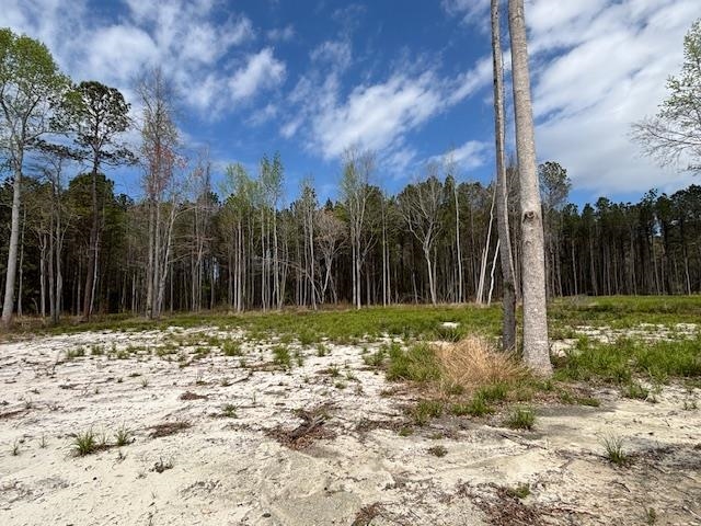 Lot 4 Coats Road Loris, SC 29569 - Photo 3 of 8