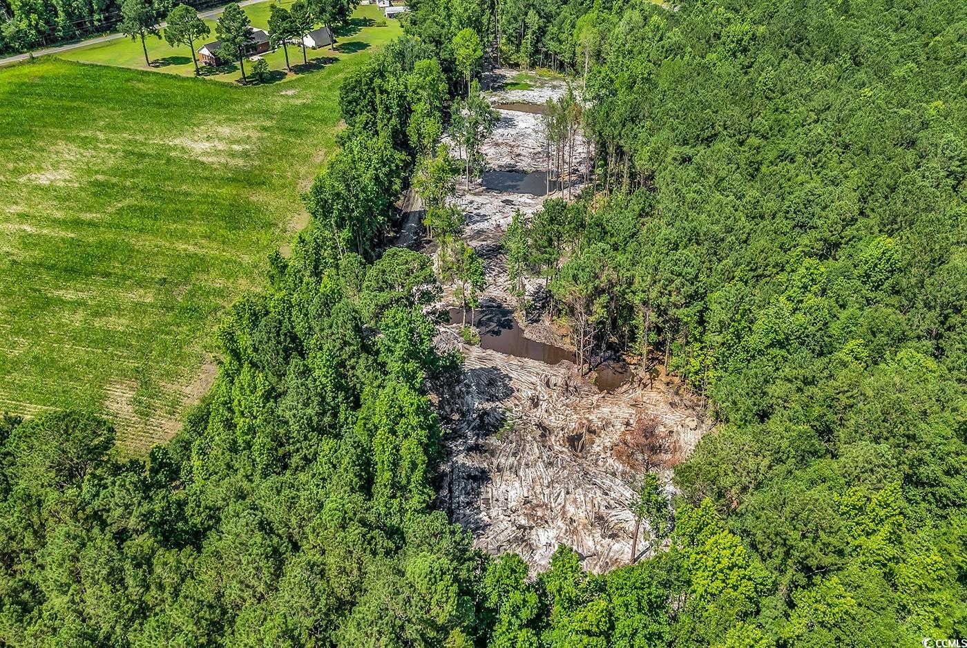 Lot 4 Coats Road Loris, SC 29569 - Photo 4 of 8