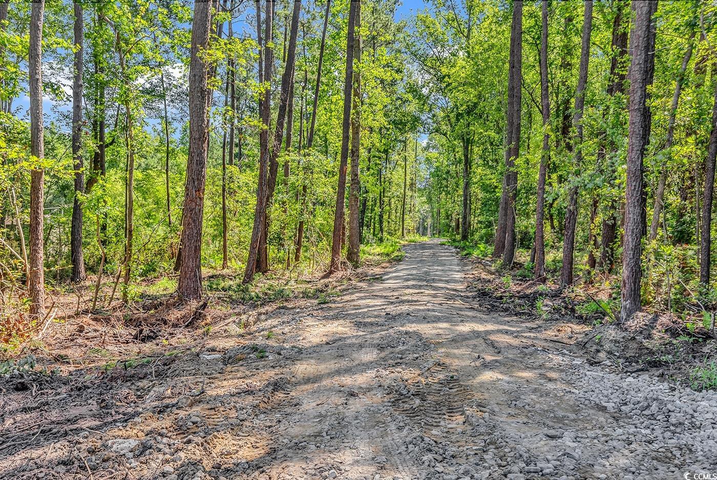 Lot 4 Coats Road Loris, SC 29569 - Photo 5 of 7
