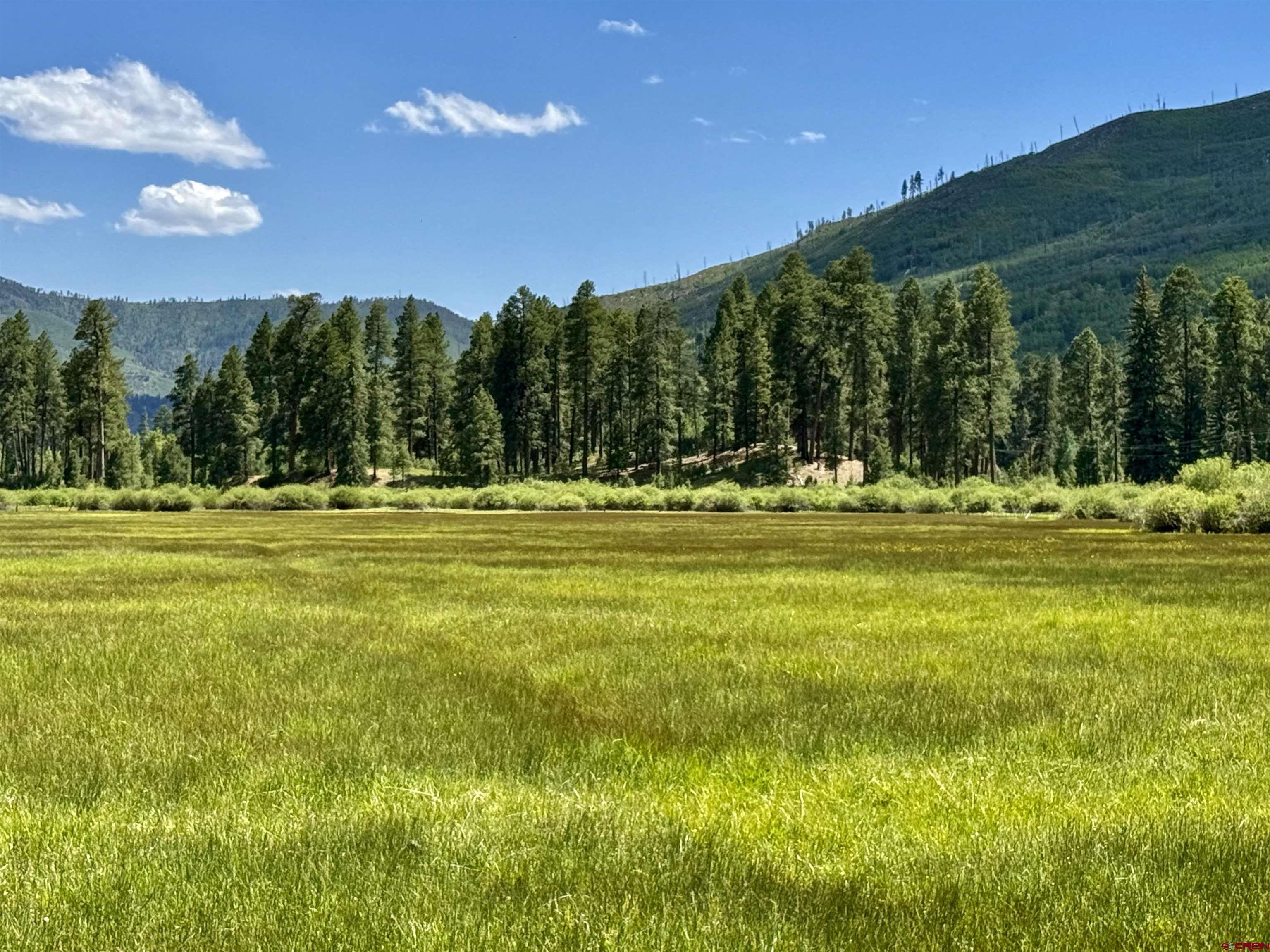 156 Golden Forest Road Bayfield, CO 81122 - Photo 17 of 23