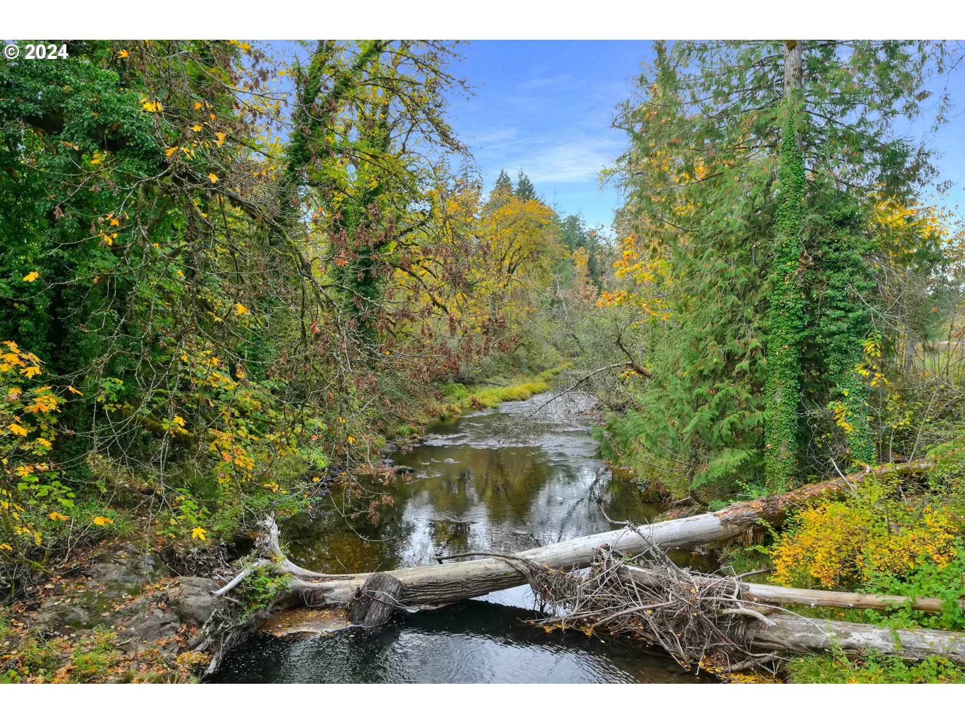 39956 Little Fall Creek Road Fall Creek, OR 97438 - Photo 3 of 48 Creek