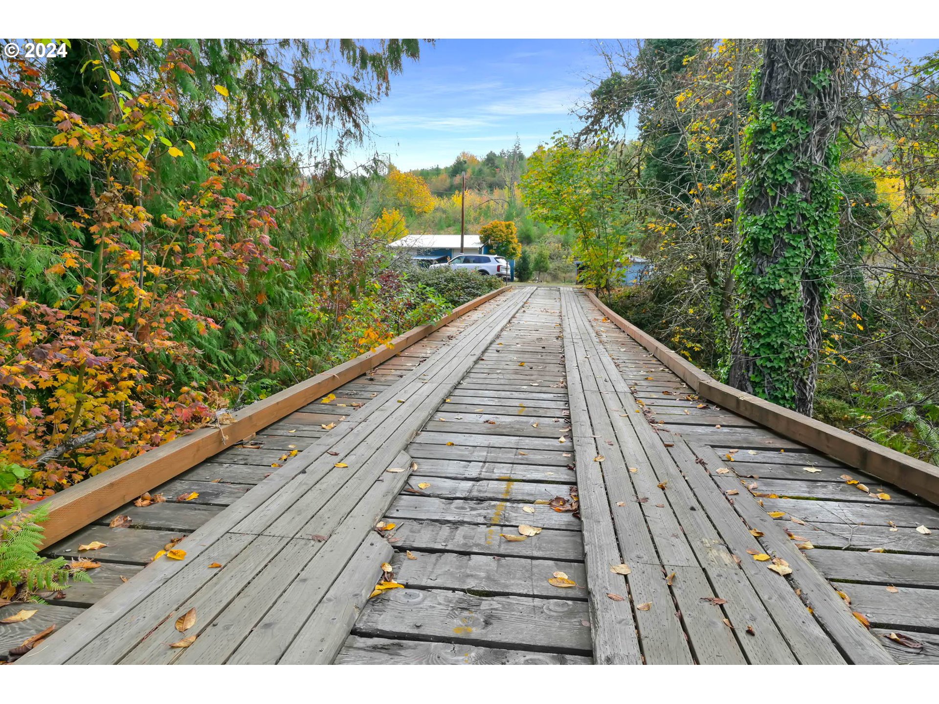 39956 Little Fall Creek Road Fall Creek, OR 97438 - Photo 4 of 48 Gallery Image 4