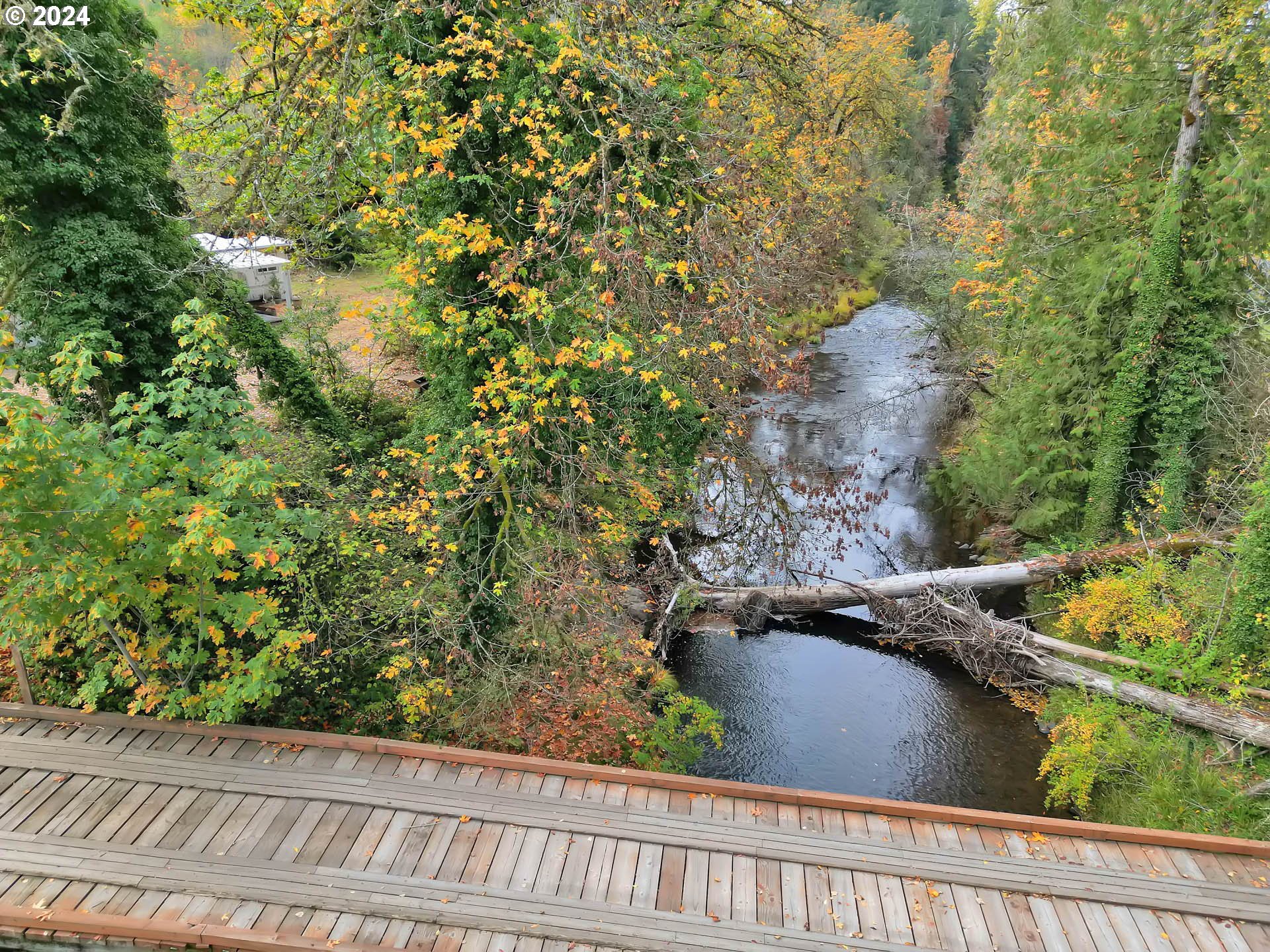 39956 Little Fall Creek Road Fall Creek, OR 97438 - Photo 43 of 48 Gallery Image 43