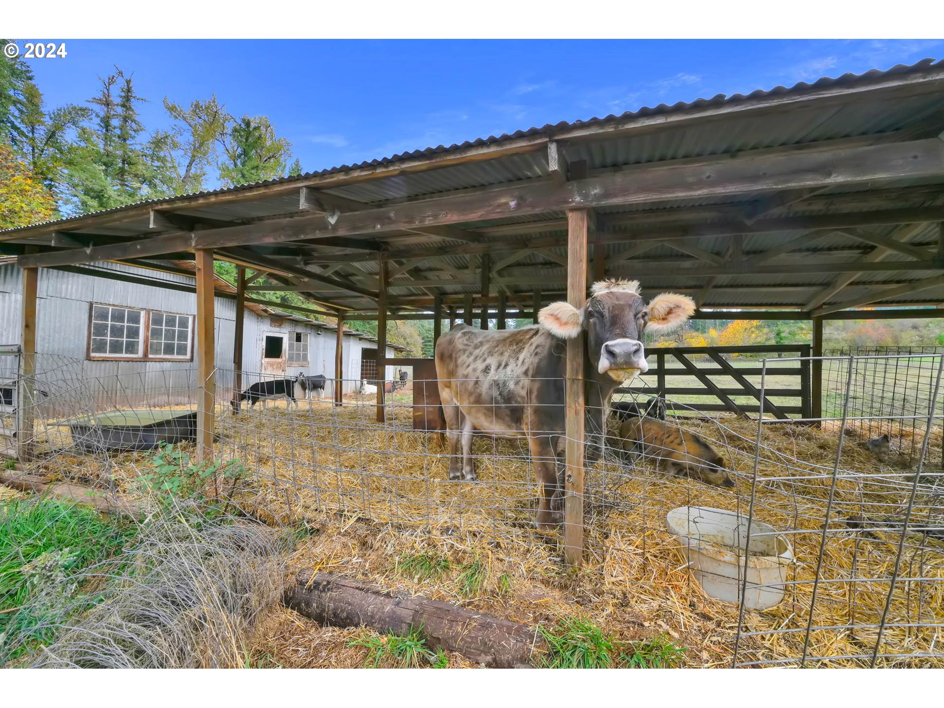 39956 Little Fall Creek Road Fall Creek, OR 97438 - Photo 47 of 48 Gallery Image 47
