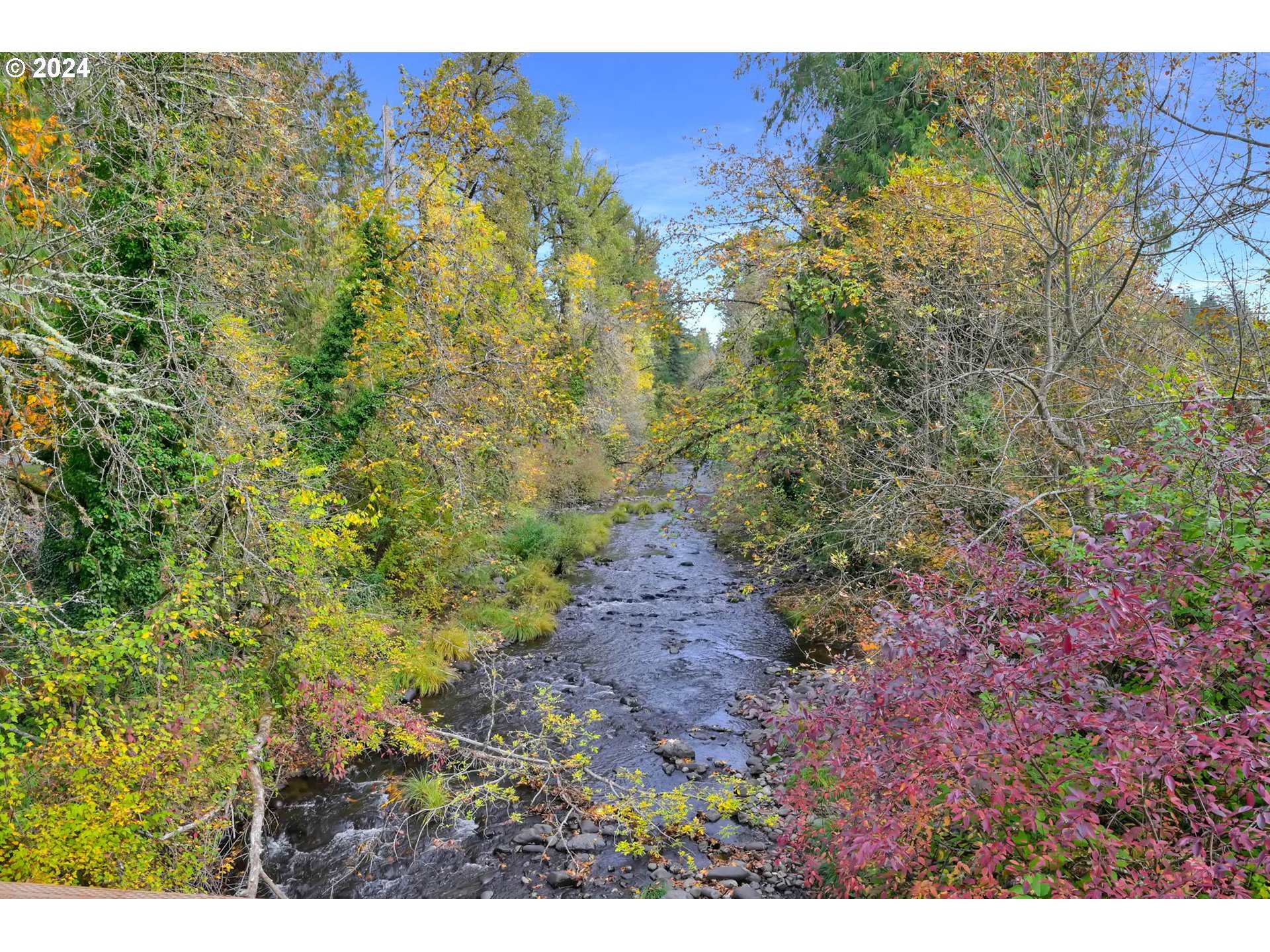 39956 Little Fall Creek Road Fall Creek, OR 97438 - Photo 5 of 48 Creek