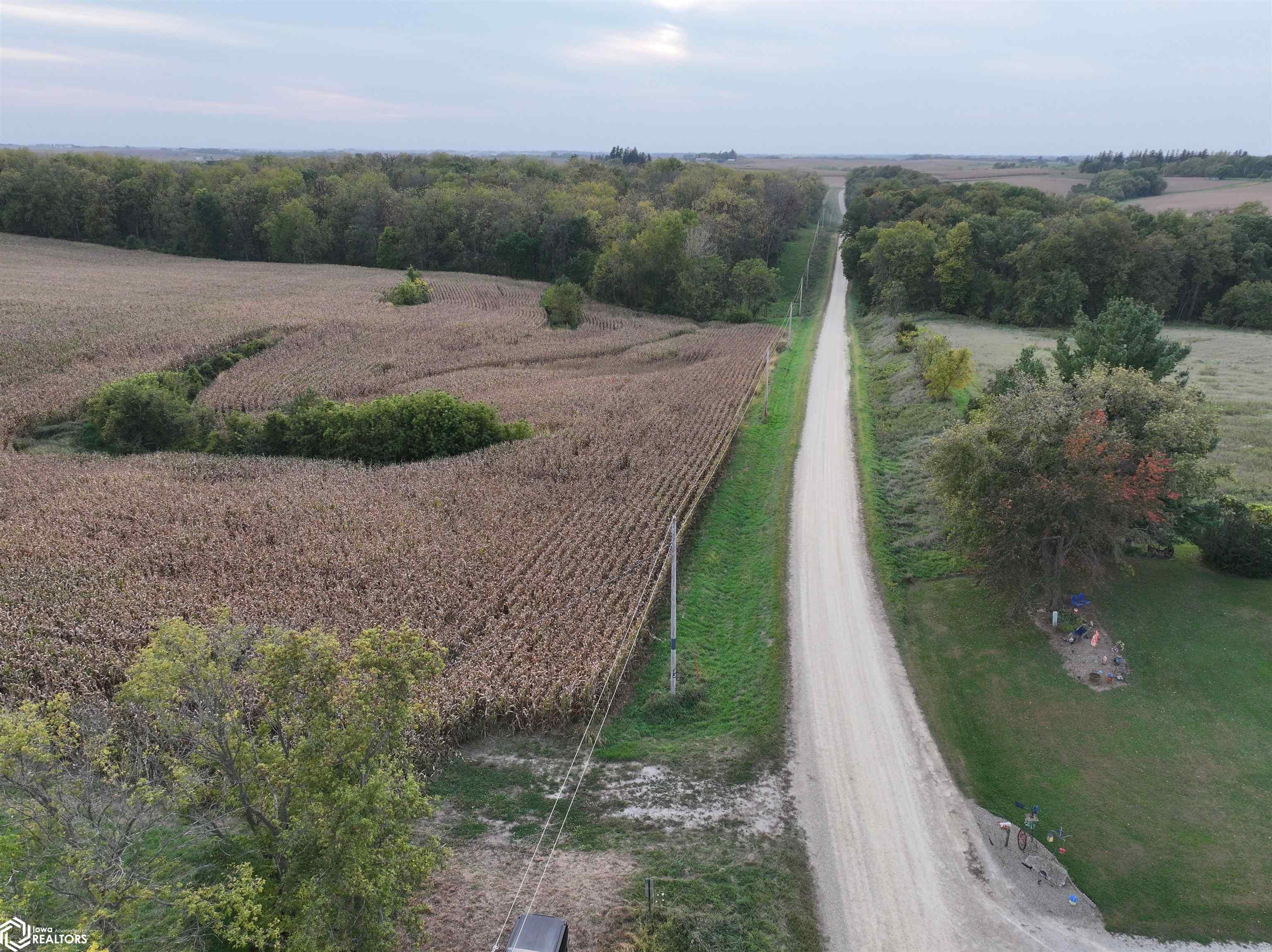 Fox Road Wadena, IA 52169 - Photo 5 of 13 Gallery Image 5