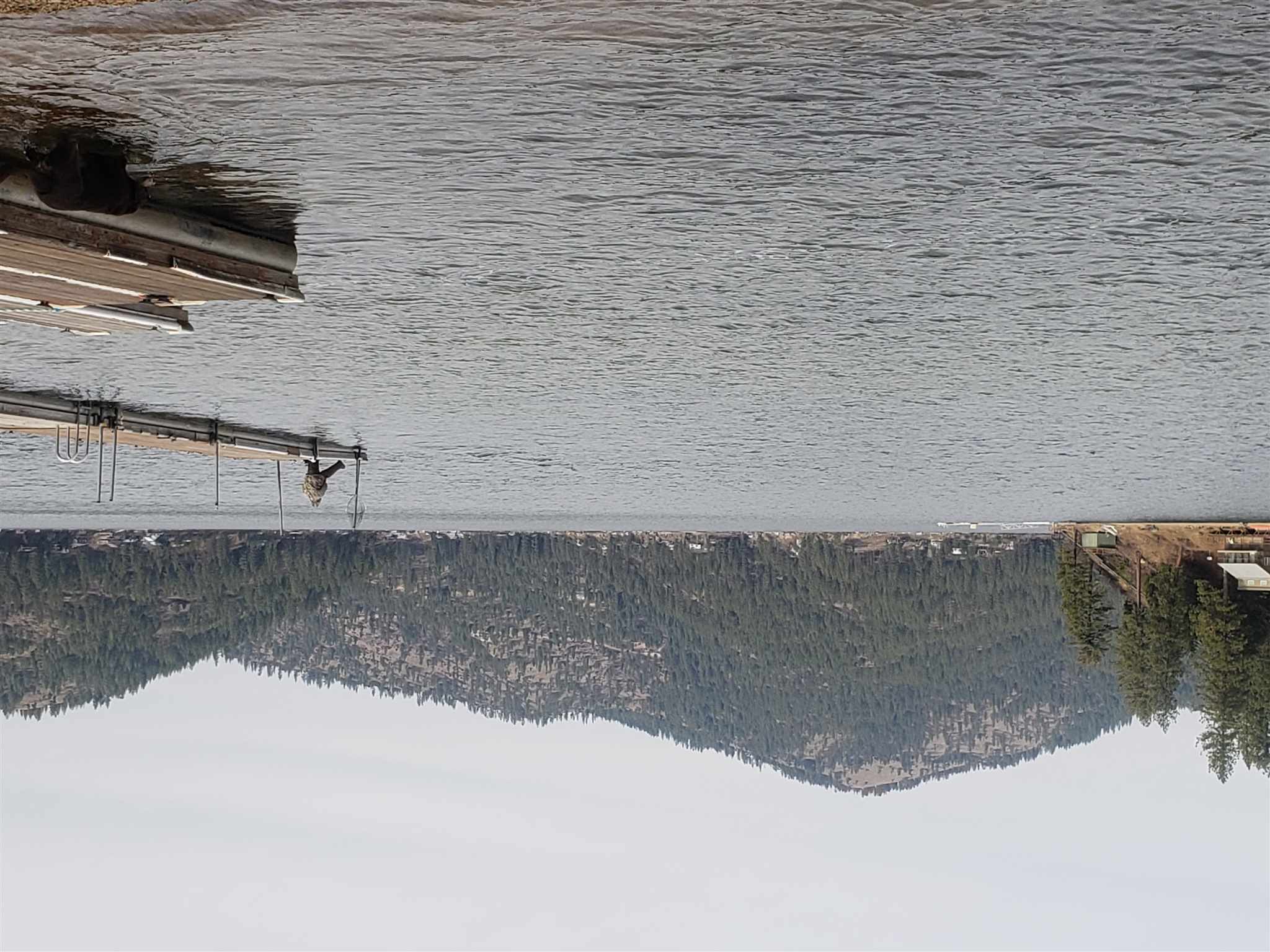 4075 Tamarack Bay Road Loon Lake, WA 99148 - Photo 41 of 41 Gallery Image 41