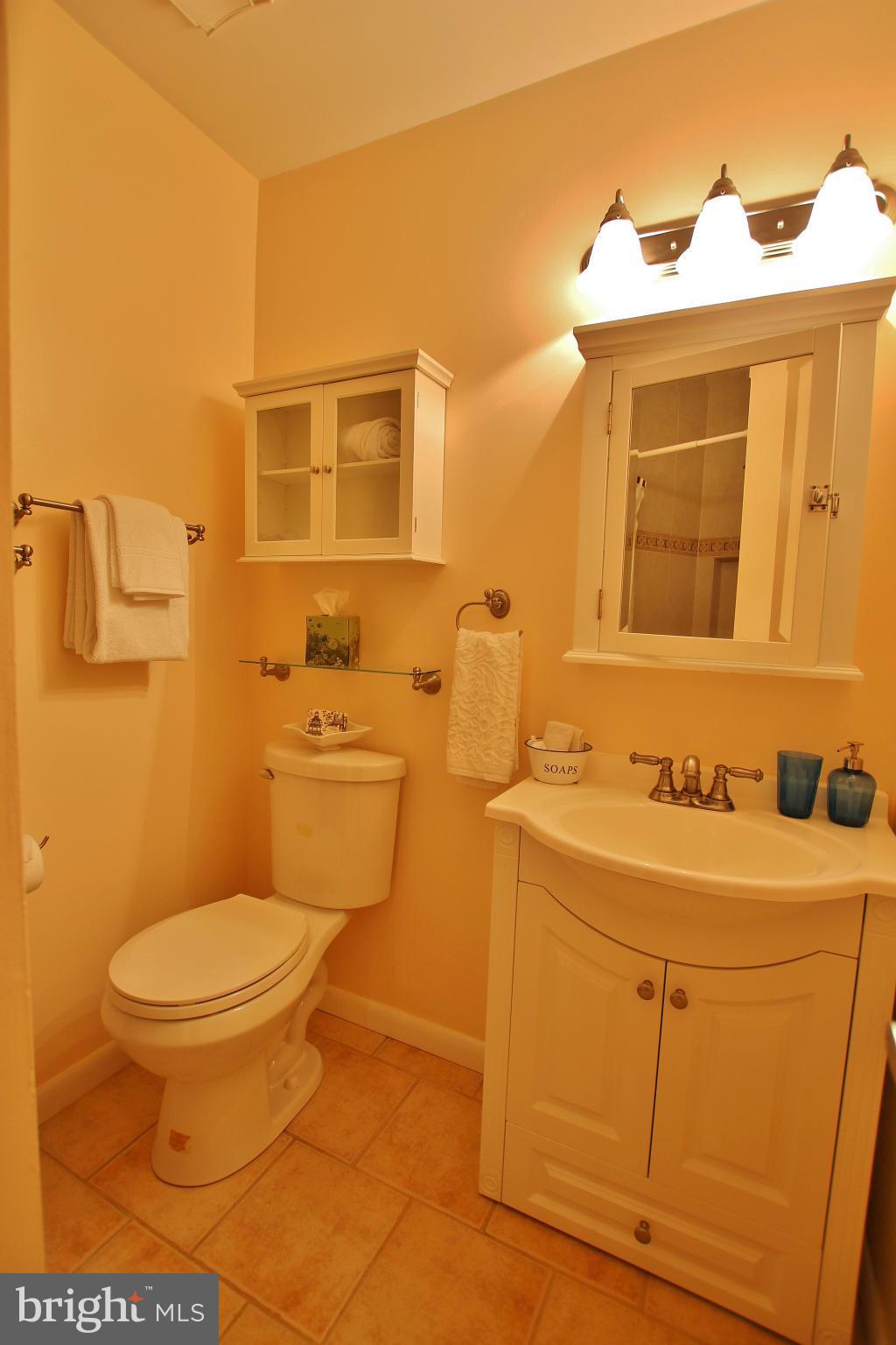 18049 Possum Point Road Dumfries, VA 22026 - Photo 18 of 30 a bathroom with a sink toilet and mirror
