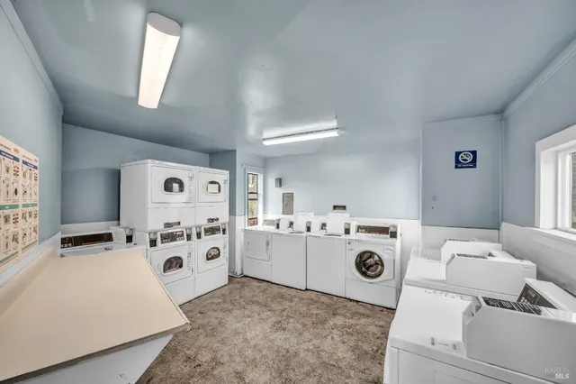 a view of a big yard with a palm trees