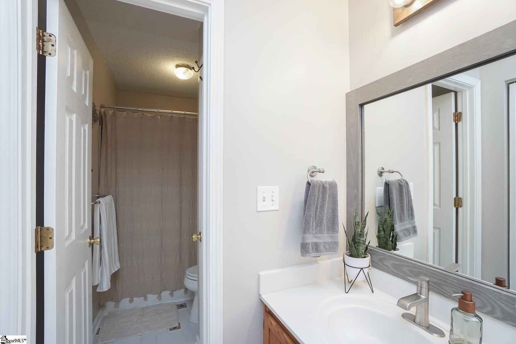 349 Riverside Chase Circle Greer, SC 29650 - Photo 20 of 33