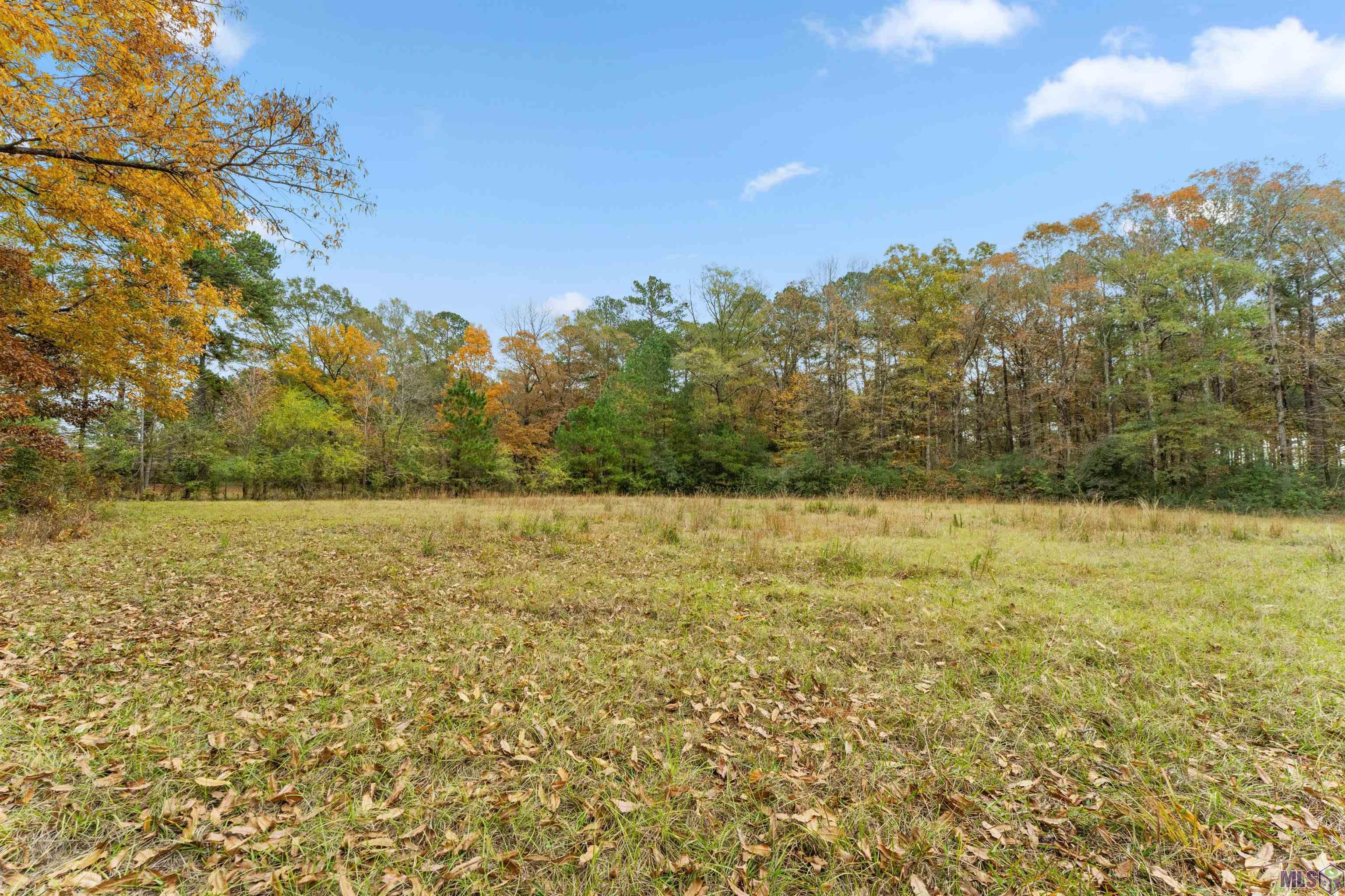 5498 Old Liberty Road North Clinton, LA 70722 - Photo 16 of 21