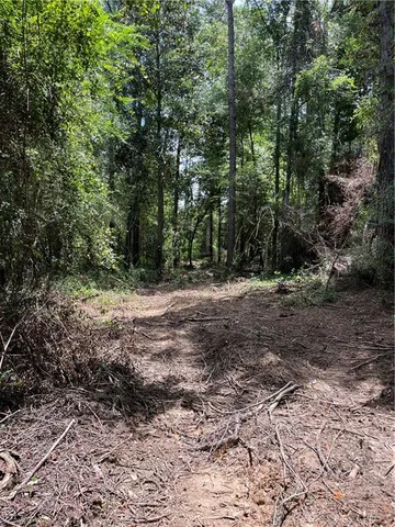 $161,500 | Undisclosed Address, Roseland, LA 70456