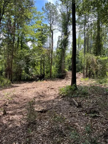 $161,500 | Undisclosed Address, Roseland, LA 70456