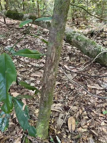 $161,500 | Undisclosed Address, Roseland, LA 70456