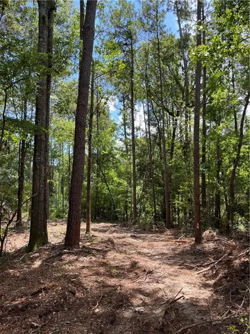 $161,500 | Undisclosed Address, Roseland, LA 70456