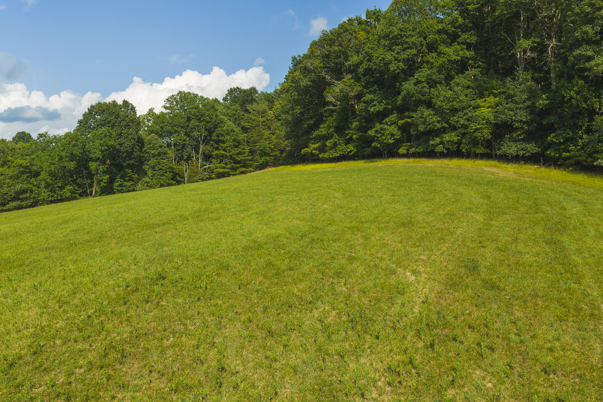 Lot 2 Brush Creek Road Riner, VA 24149 - Photo 14 of 15 DJI_20260629165844_0185_D