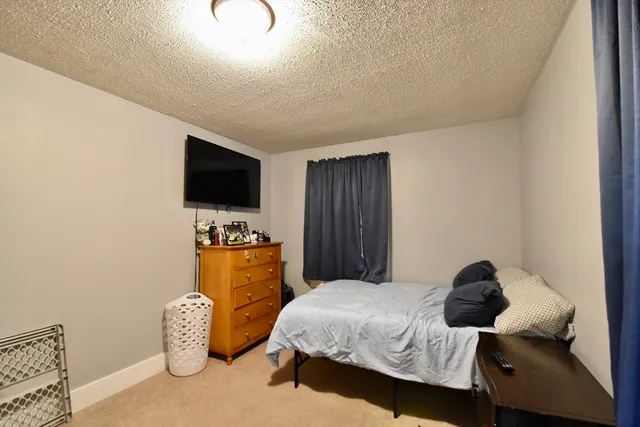 a bedroom with a bed and tv