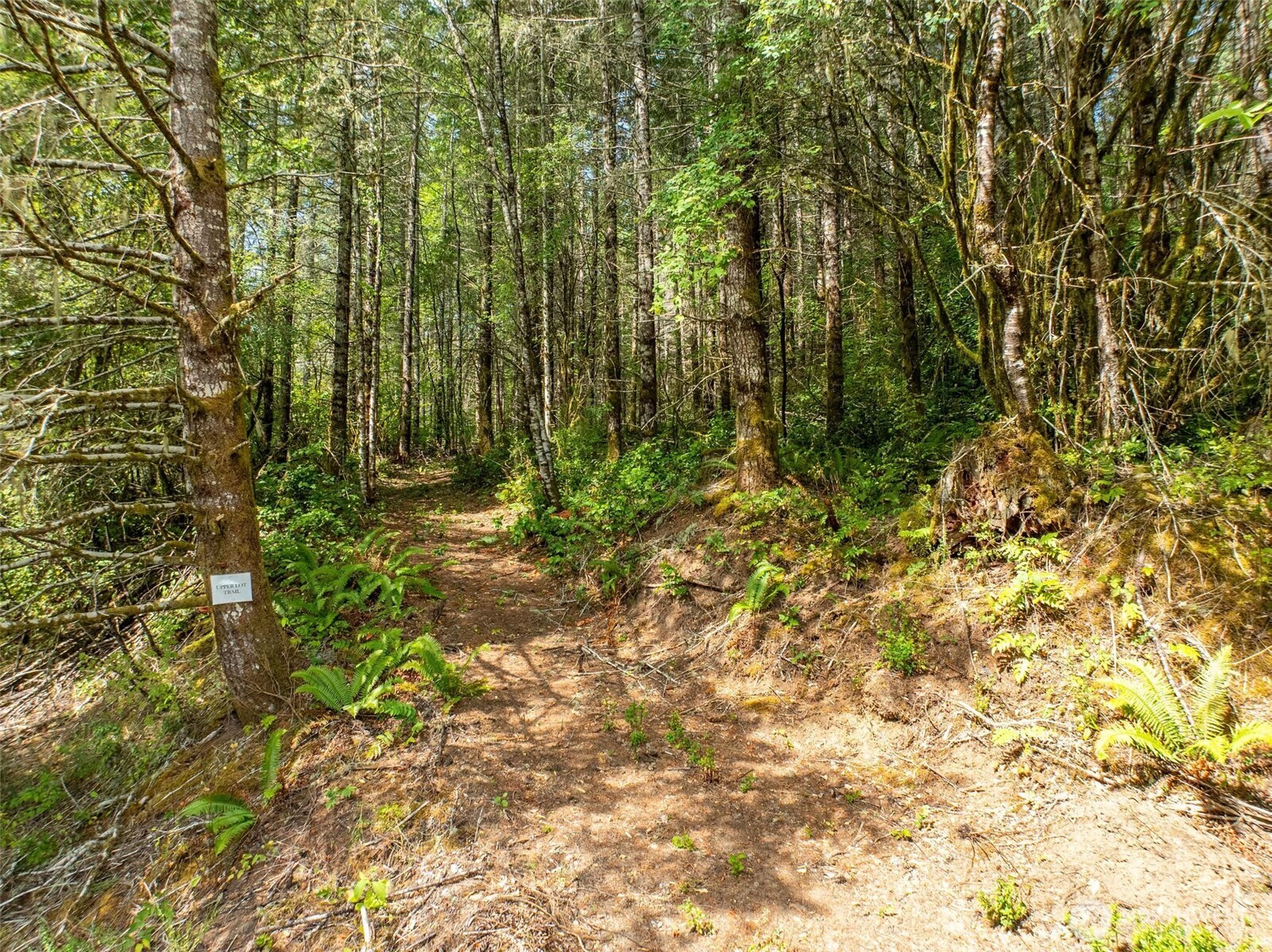 0 Lincoln Creek Road Rochester, WA 98579 - Photo 4 of 12 a view of yard