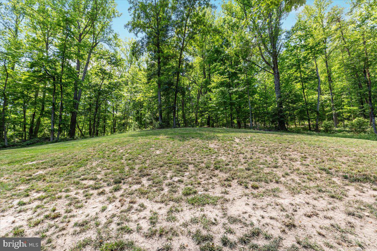 5400 Free State Road Marshall, VA 20115 - Photo 49 of 64