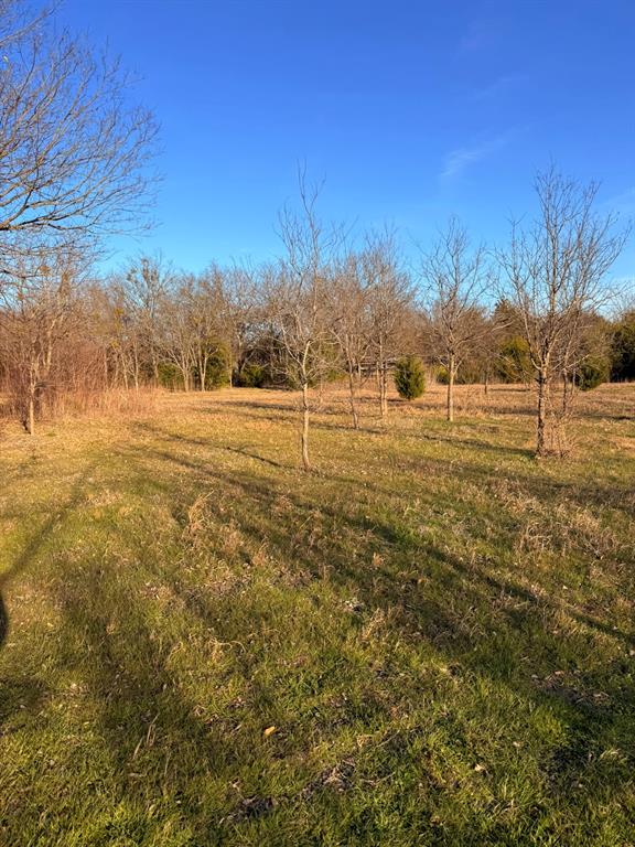 210 Wester Road Ferris, TX 75125 - Photo 4 of 12