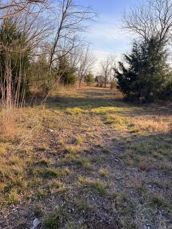 210 Wester Road Ferris, TX 75125 - Photo 9 of 12