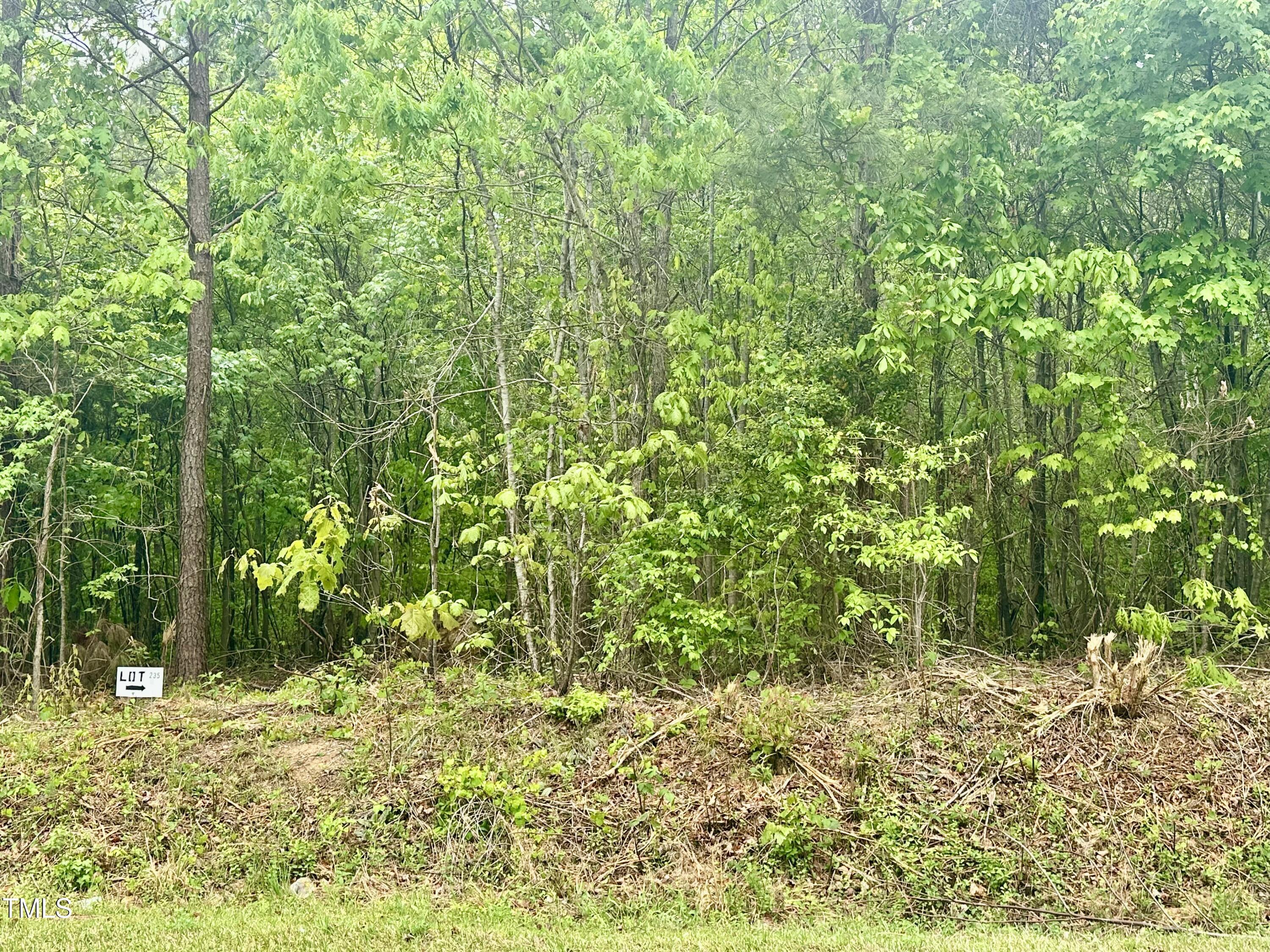 Lot 5 Range Road Rougemont, NC 27572 - Photo 2 of 5 IMG_9523