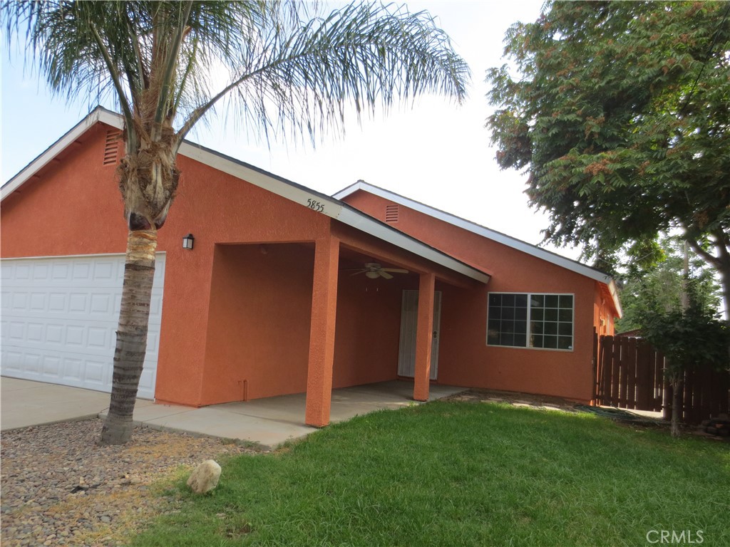a view of backyard with potted plants and large tree