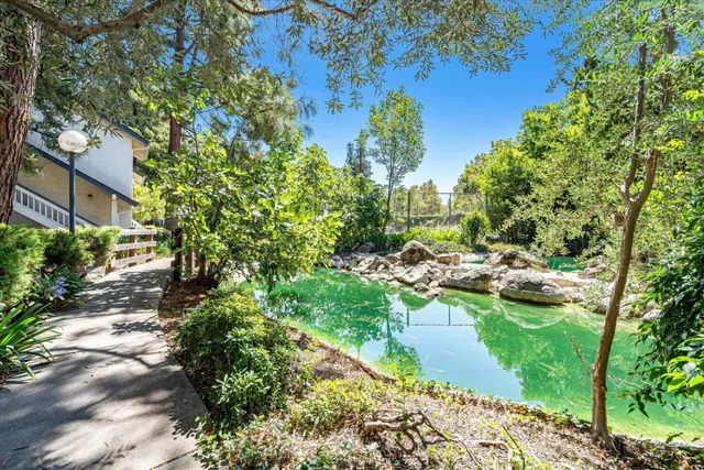 a view of a yard with plants and large trees