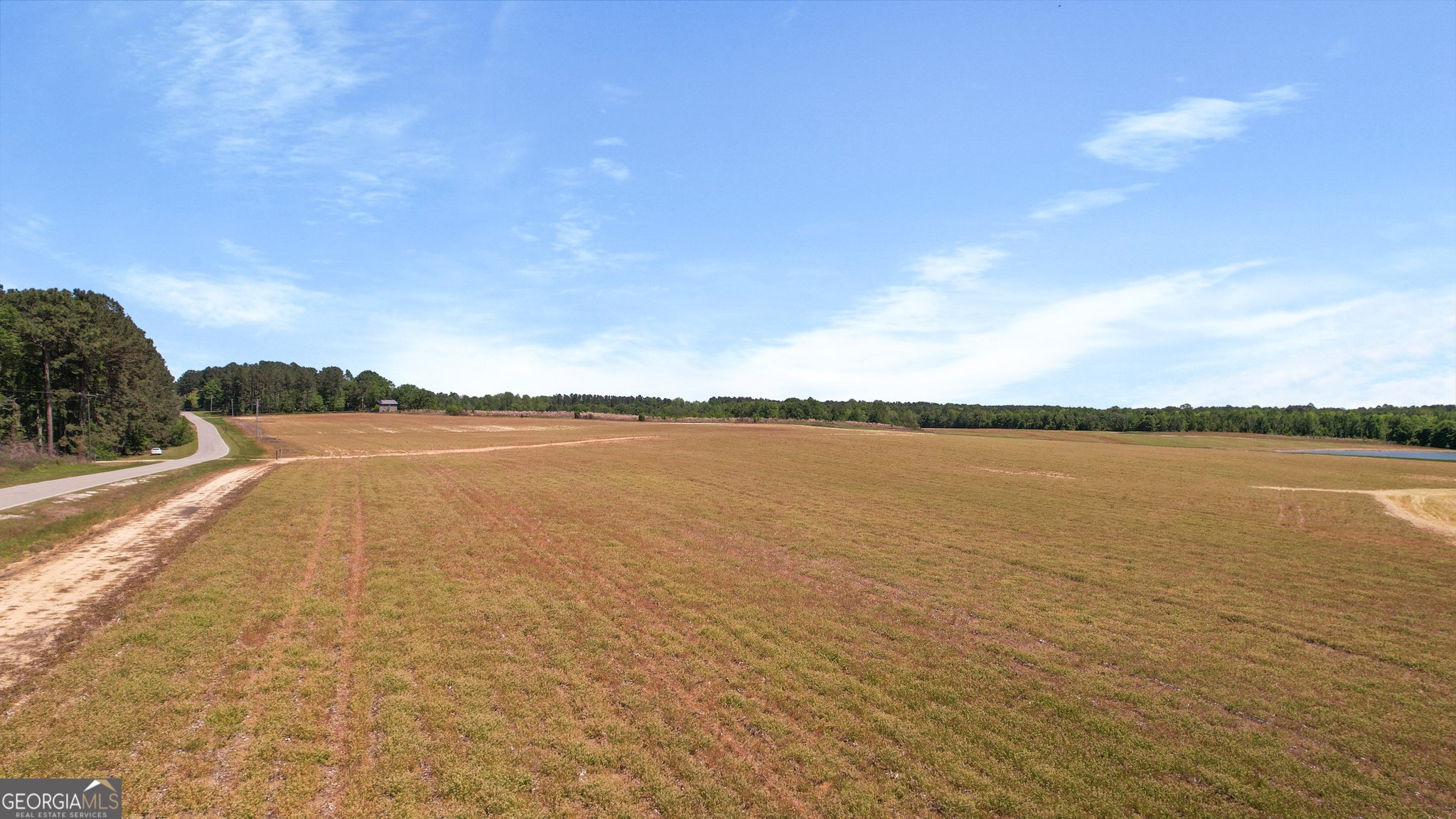 0 Middleground Road, Unit TRACT 2 Statesboro, GA 30461 - Photo 6 of 17