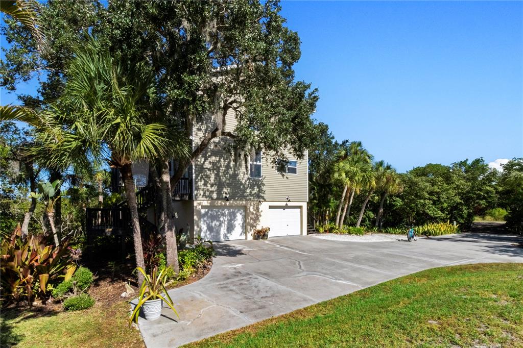 7325 Holly Road Terra Ceia, FL 34250 - Photo 57 of 87 a view of backyard with a tree