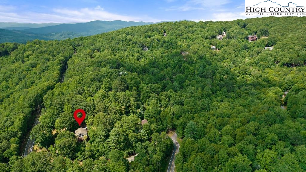 1157 Pine Ridge Road Beech Mountain, NC 28604 - Photo 29 of 41 a view of a lush green forest with a lush green forest