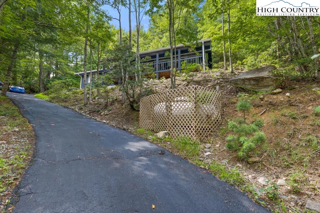 1157 Pine Ridge Road Beech Mountain, NC 28604 - Photo 3 of 41 a view of a yard with plants and trees