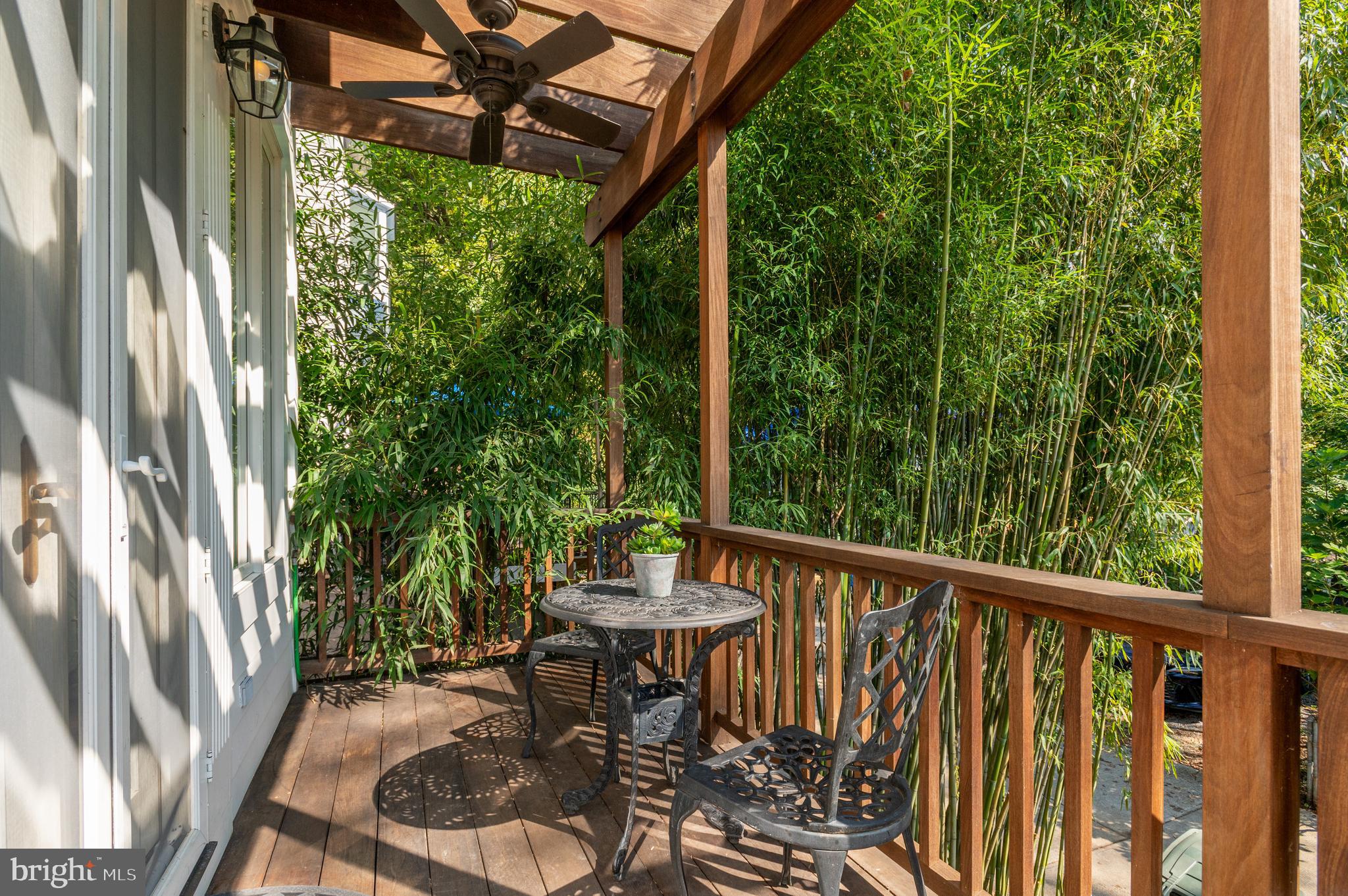 1955 39th Street Northwest Washington, DC 20007 - Photo 22 of 25 Ipe deck w/arbor