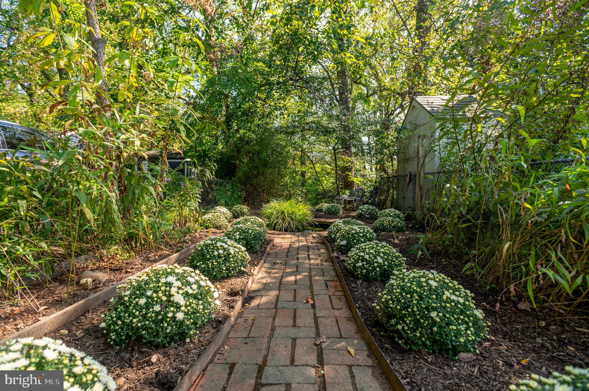 1955 39th Street Northwest Washington, DC 20007 - Photo 23 of 25 Non-buildable rear lot- flows to terraced gardens