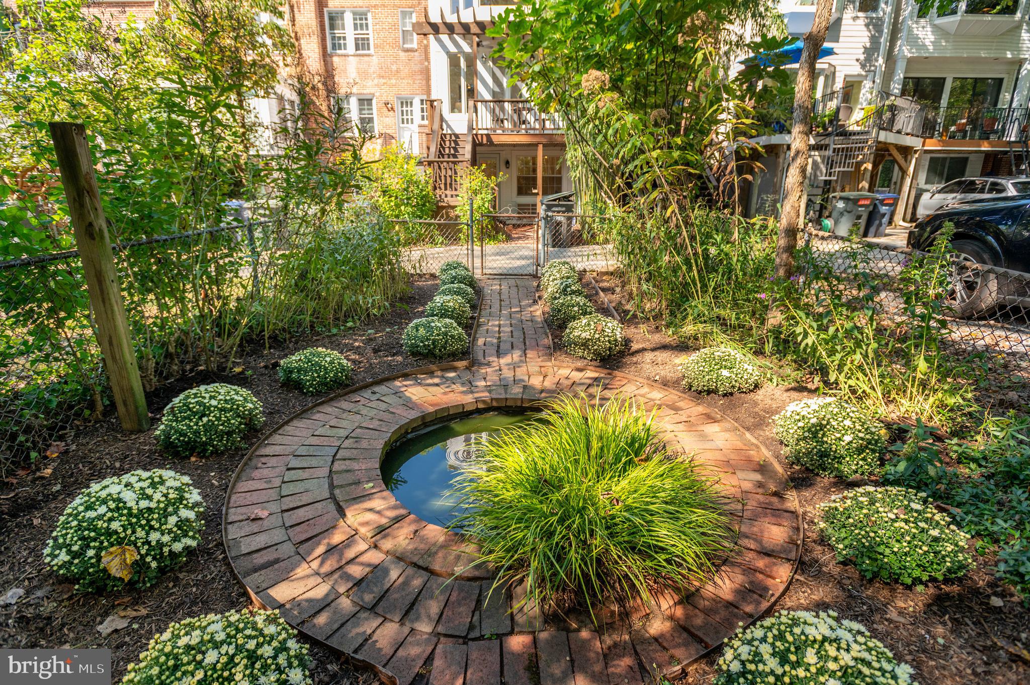 1955 39th Street Northwest Washington, DC 20007 - Photo 24 of 25 Back lot/garden and self-sustaining pond