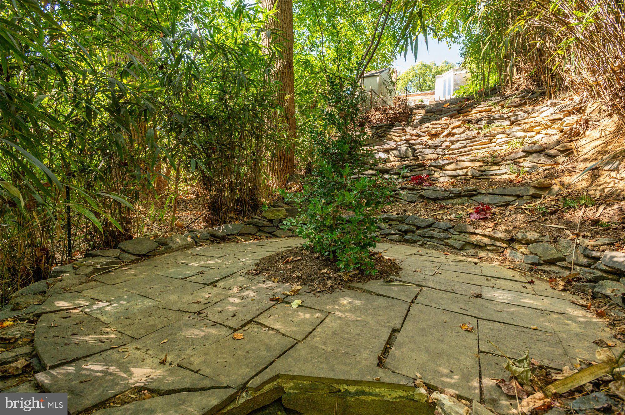 1955 39th Street Northwest Washington, DC 20007 - Photo 25 of 25 Terraced gardens border national parkland