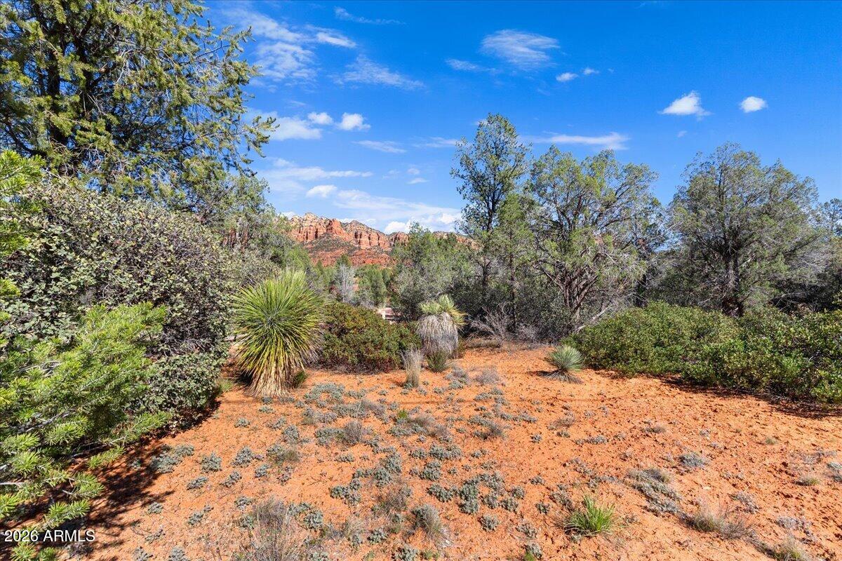 2727 Verde Valley School Road Sedona, AZ 86336 - Photo 11 of 22 a view of a yard with a tree