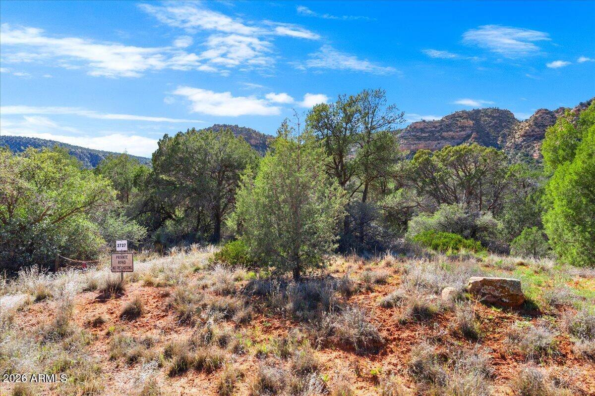 2727 Verde Valley School Road Sedona, AZ 86336 - Photo 18 of 22 a view of a yard with plants and a tree
