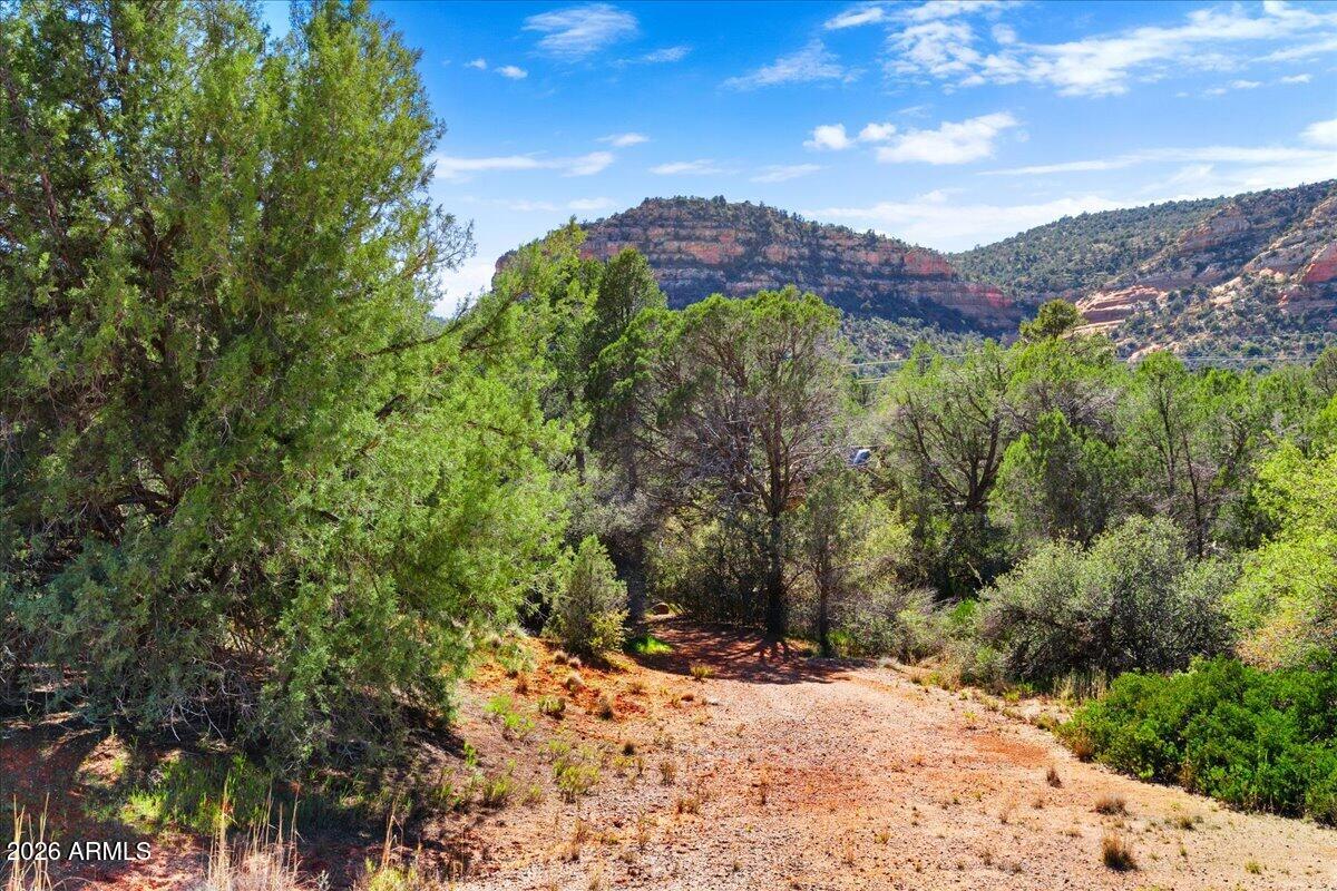 2727 Verde Valley School Road Sedona, AZ 86336 - Photo 20 of 22 a view of a yard with a tree