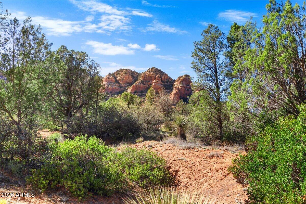2727 Verde Valley School Road Sedona, AZ 86336 - Photo 4 of 22 a view of a yard with plants and large trees