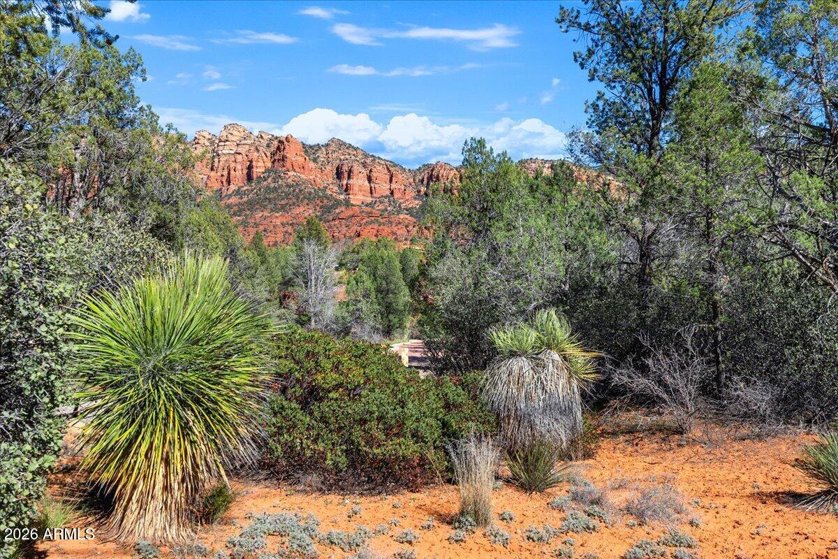 2727 Verde Valley School Road Sedona, AZ 86336 - Photo 5 of 22 a view of a yard with plants and palm trees
