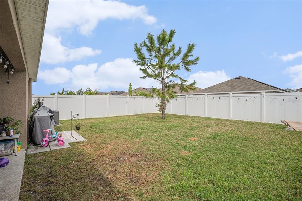 429 Olive Conch Street Ruskin, FL 33570 - Photo 12 of 15 a front view of a house with garden