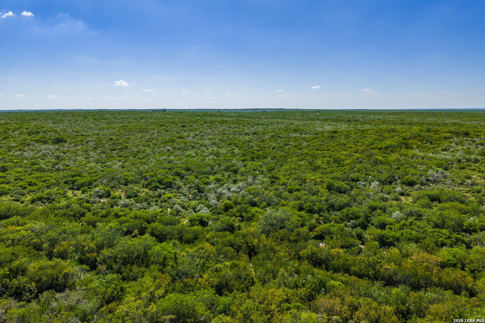 111 Los Lomas Ranch Road Freer, TX 78357 - Photo 20 of 31