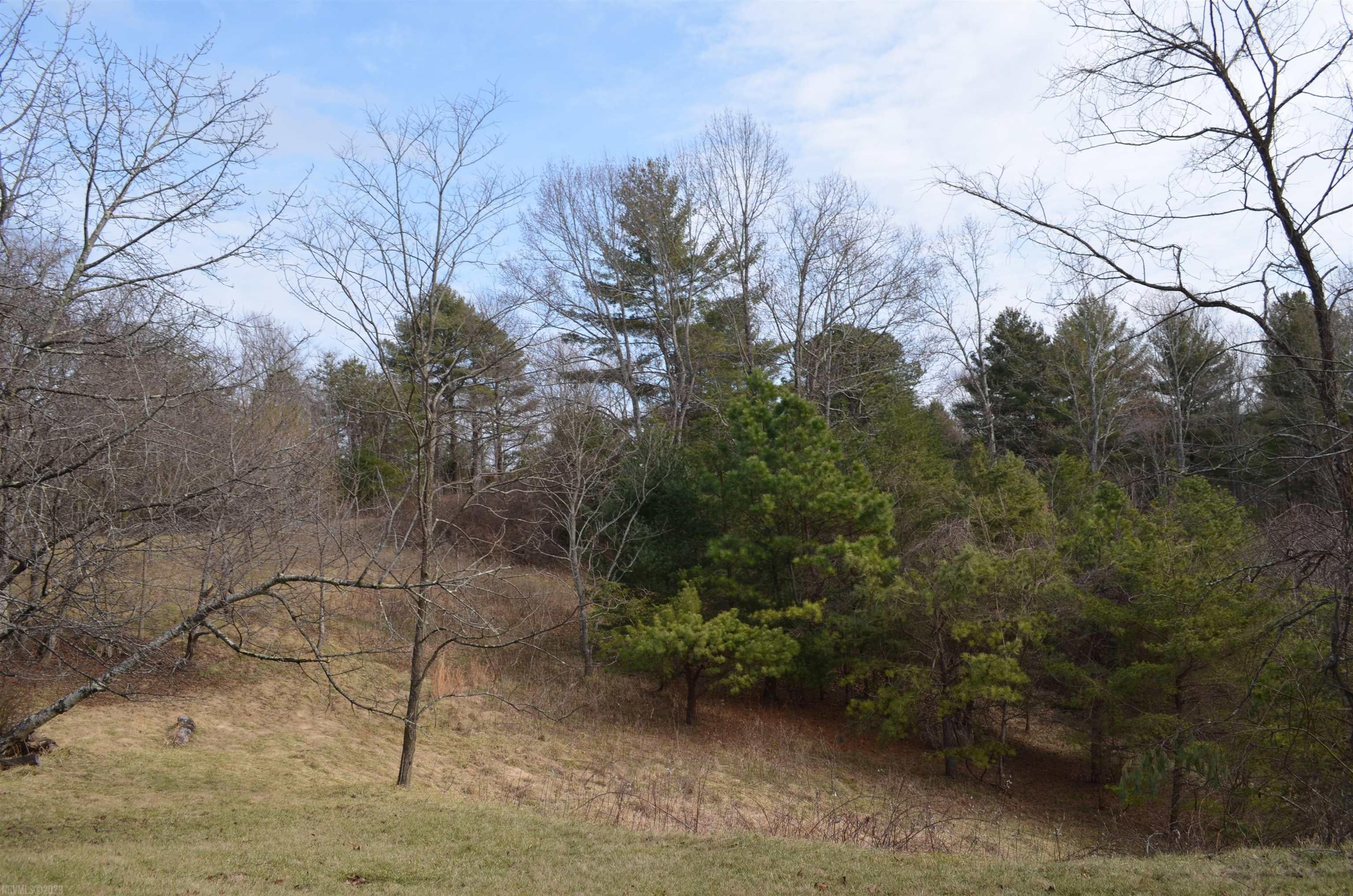 2391 Lick Ridge Road Northeast Check, VA 24072 - Photo 9 of 61 Gallery Image 9
