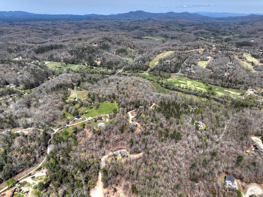 158 Spring Run Drive Blue Ridge, GA 30513 - Photo 51 of 88