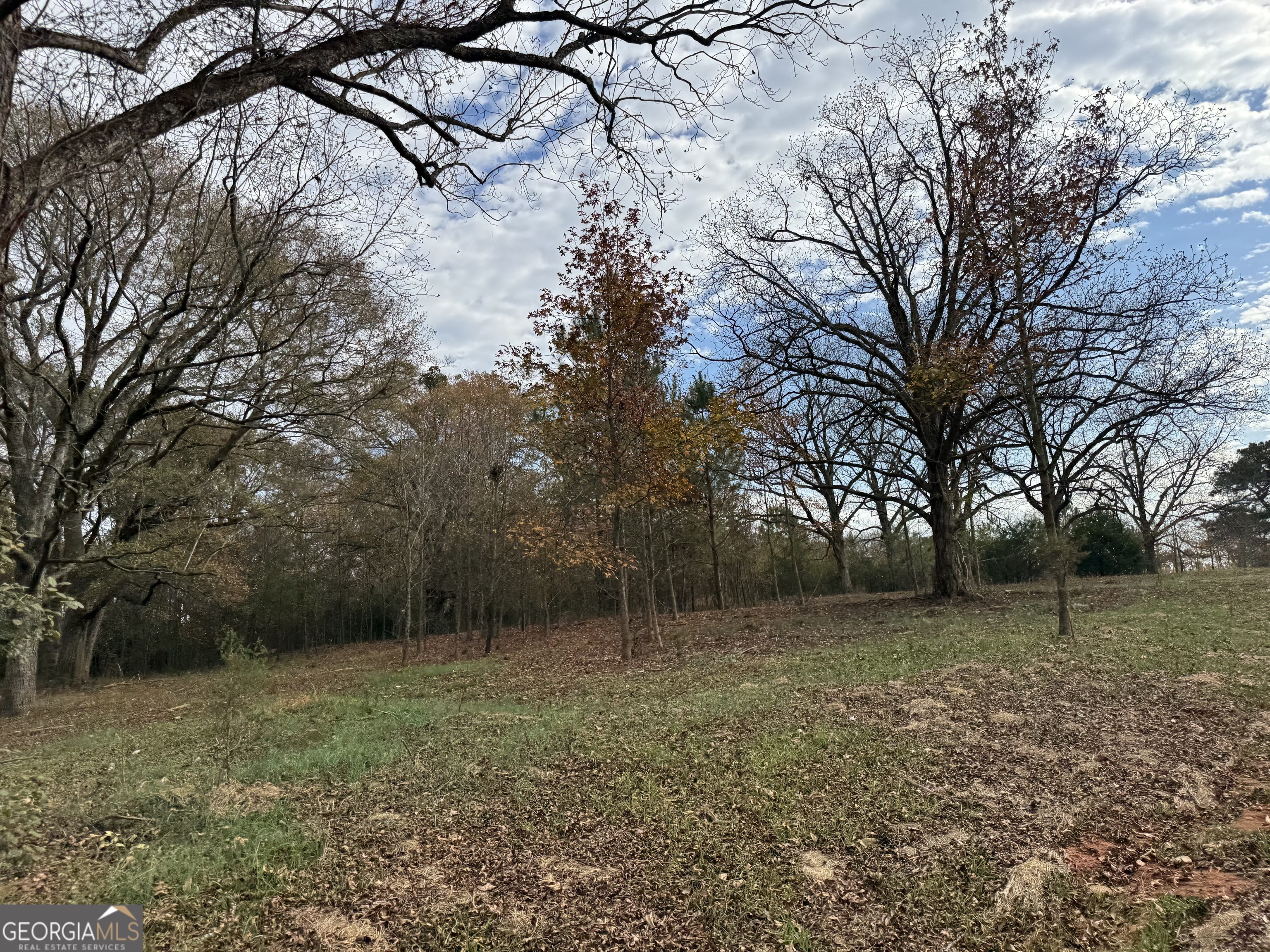 3439-tract 2 Providence Church Road Hartwell, GA 30643 - Photo 1 of 27