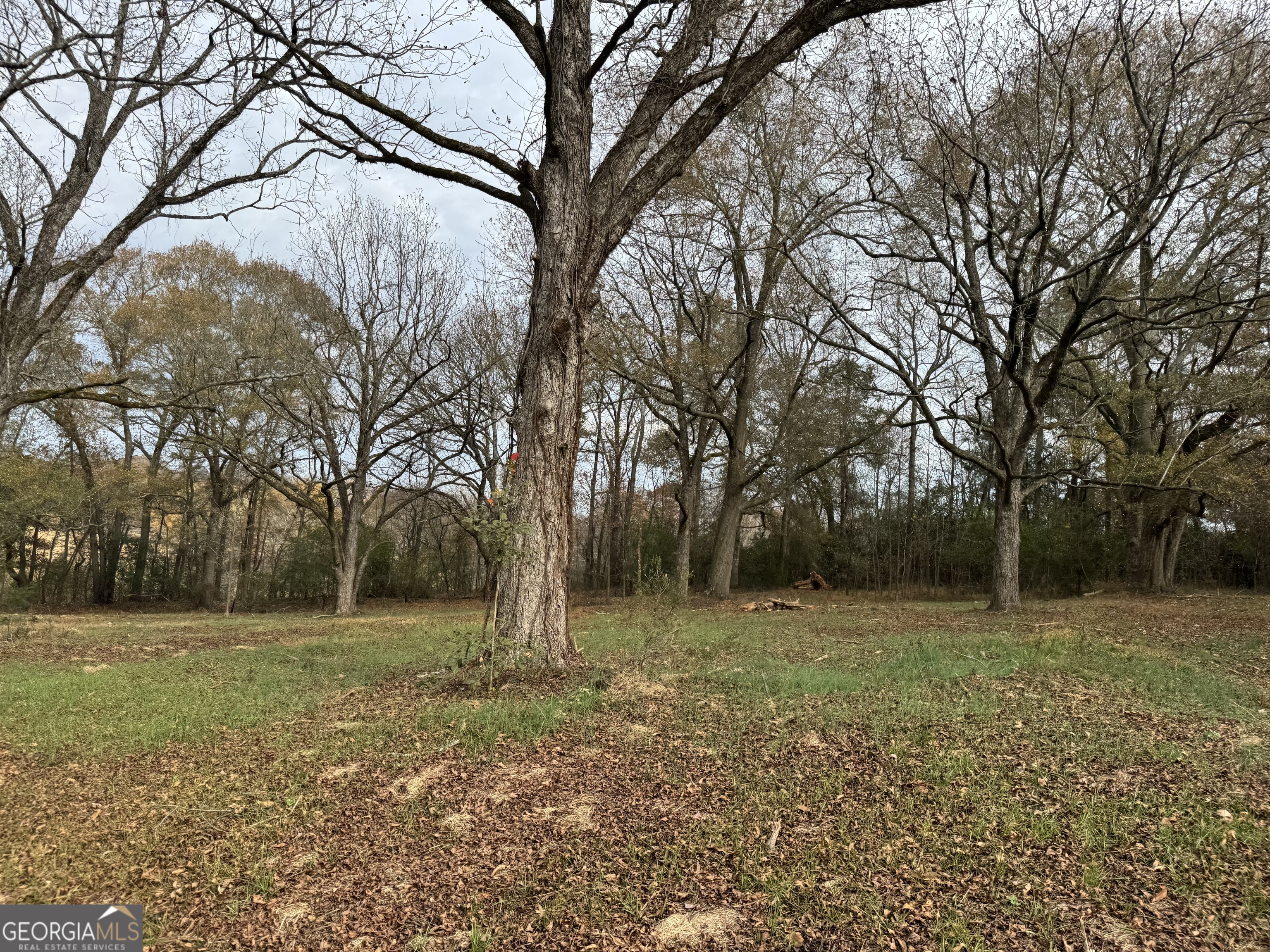 3439-tract 2 Providence Church Road Hartwell, GA 30643 - Photo 2 of 27