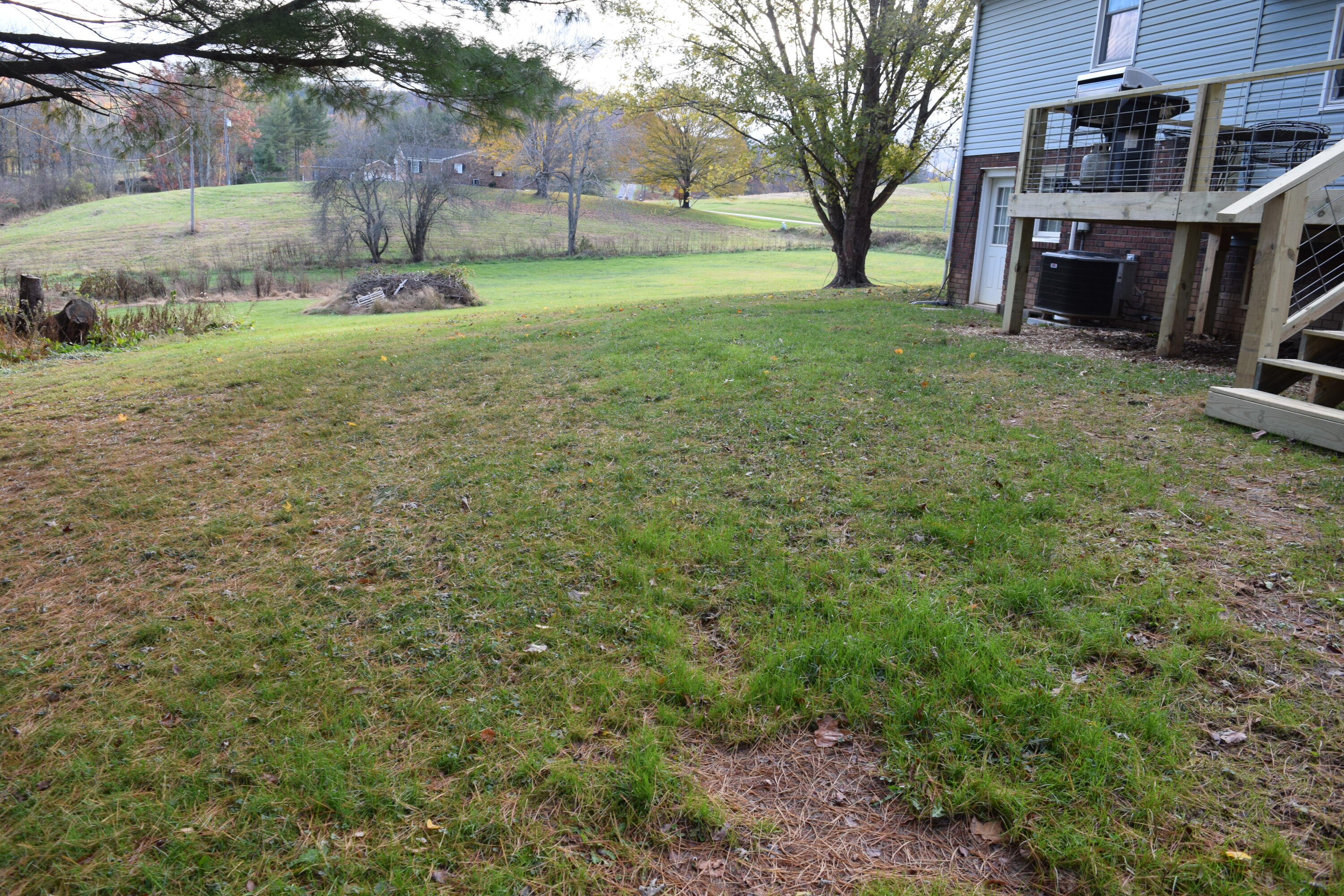 162 Ridgeview Road Northwest Floyd, VA 24091 - Photo 46 of 47 a view of backyard with huge green area and large trees