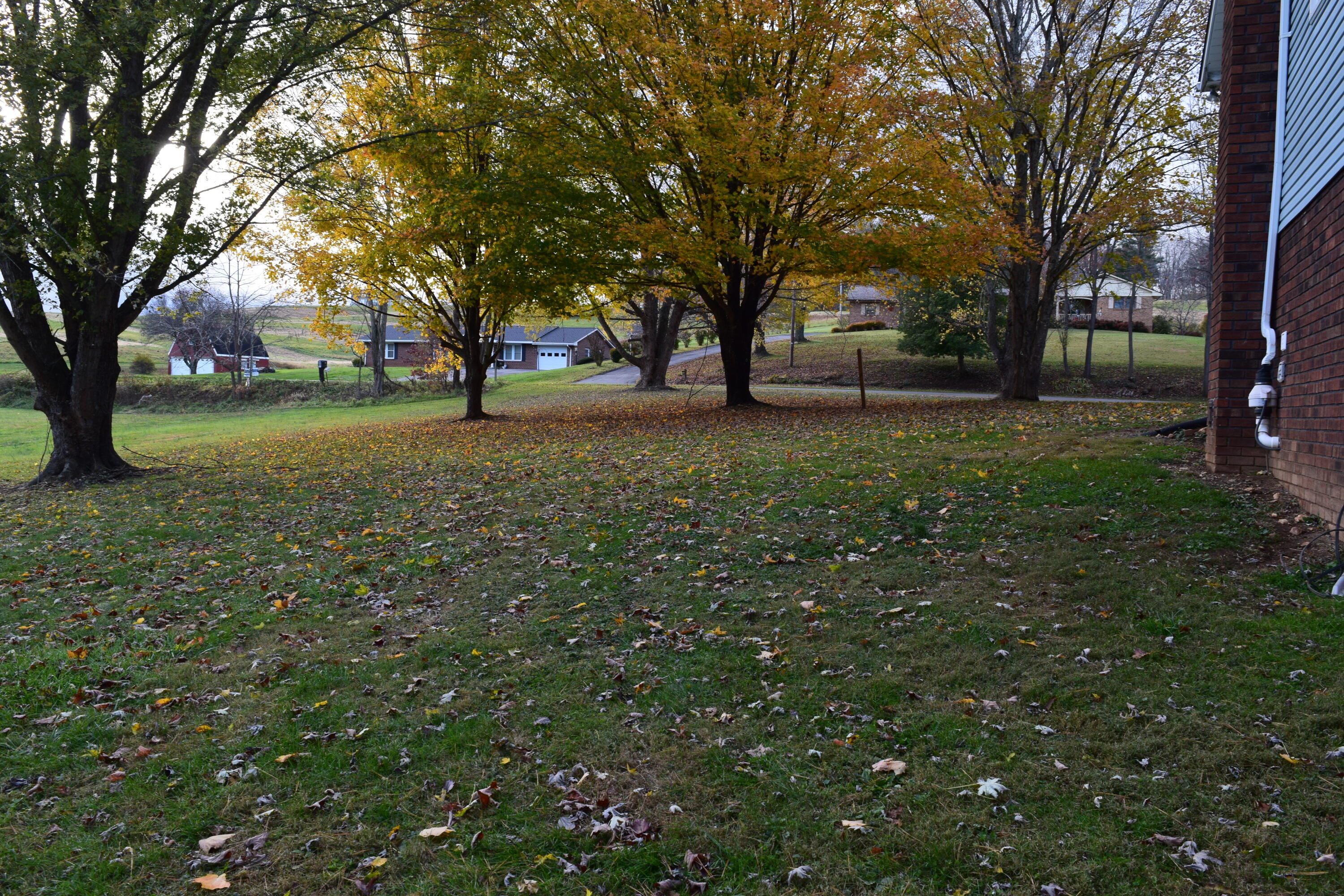 162 Ridgeview Road Northwest Floyd, VA 24091 - Photo 47 of 47 a view of outdoor space with trees