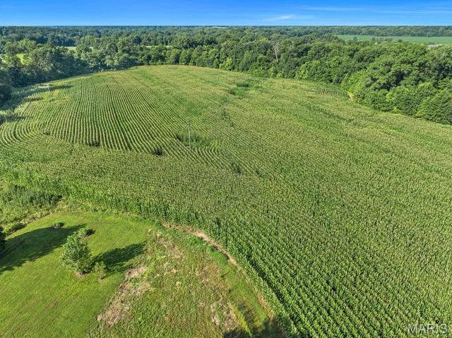 $935,071 | 412 Penrod Road, Troy, MO 63379